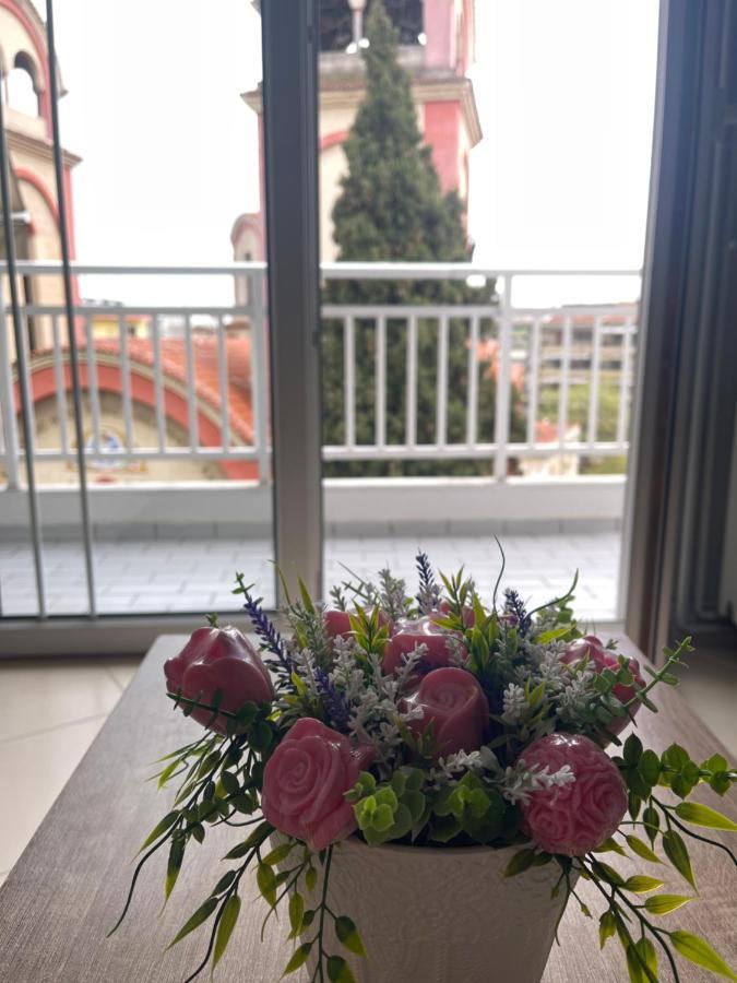 Theia Analipsi Central Apartment กาเตรินี ภายนอก รูปภาพ